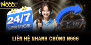 Làm thế nào để liên hệ N666 khi cần?