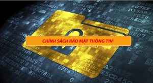 Quyền lợi của khách hàng tại N666