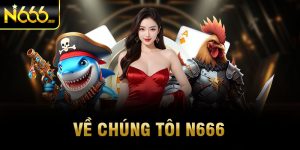 về chúng tôi n666