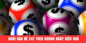 Nuôi dàn đề 247 thắng đậm theo khung ngày độc đáo